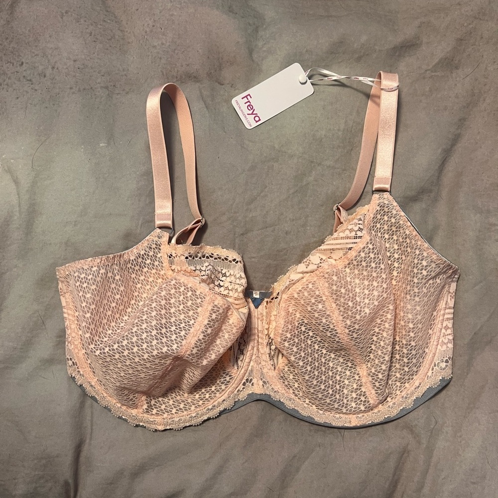 Freya Daisy Lace 38G (UK)